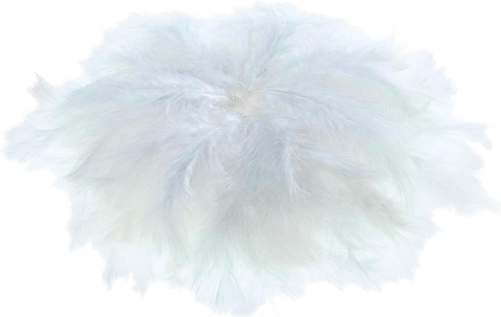 Image du produit Folia Plumes duveteuses, 100 g, blancá