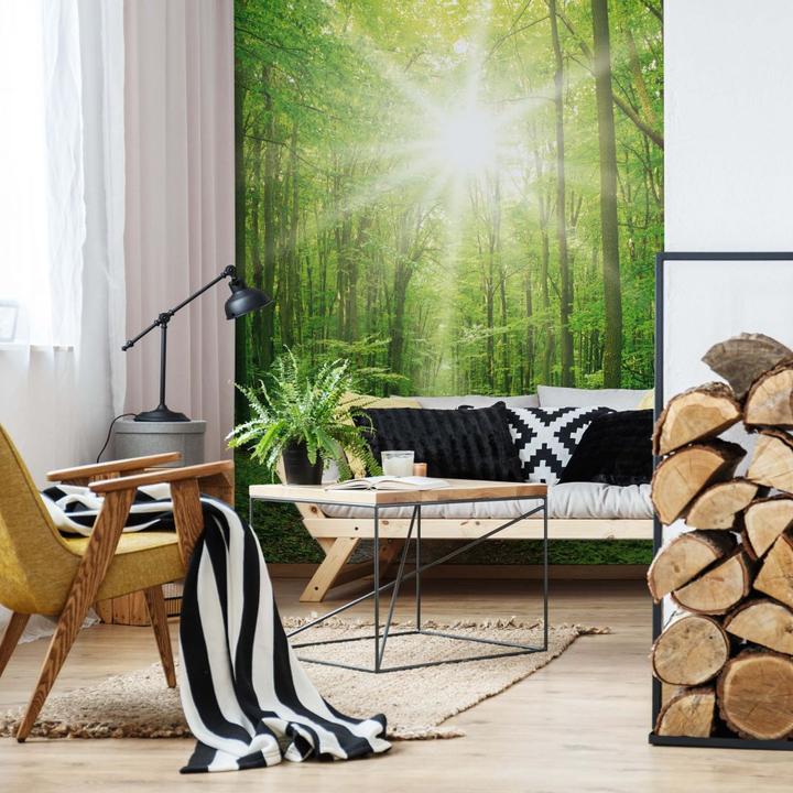 Produktbild Trenddeko Sunny Forest (384 x 260 cm)