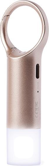 Actual product image Lexon Nomaday Flash Brelok LED złoty/gold LL137D