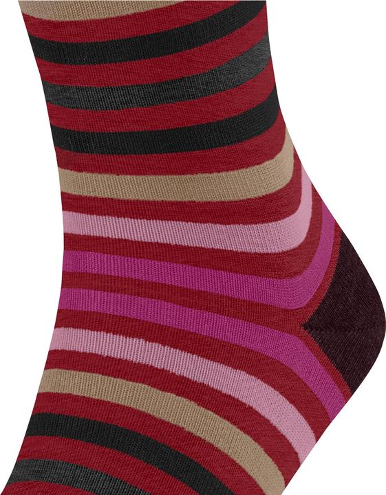 Actual product image Falke Tinted Stripe SO (Single pack, 47 - 50)