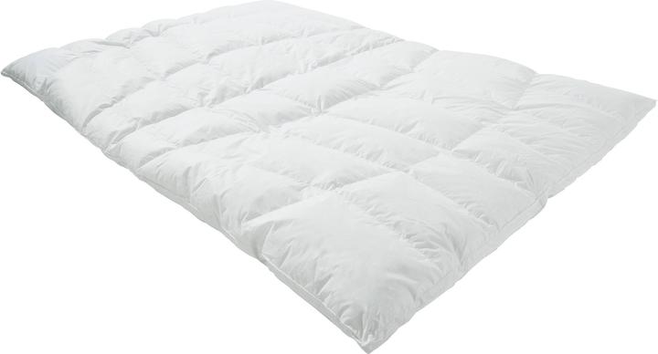 Immagine prodotto Erwin Müller St. Petersburg (760 g, 135x200 cm)