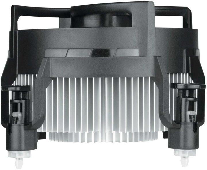 Actual product image Arctic Alpine 17 (77 mm)