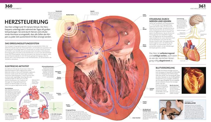 Produktbild Anatomie und Physiologie (Deutsch, Alice Roberts, Andreas Held, Simone Blass, Nikola Schmidt, 2023)