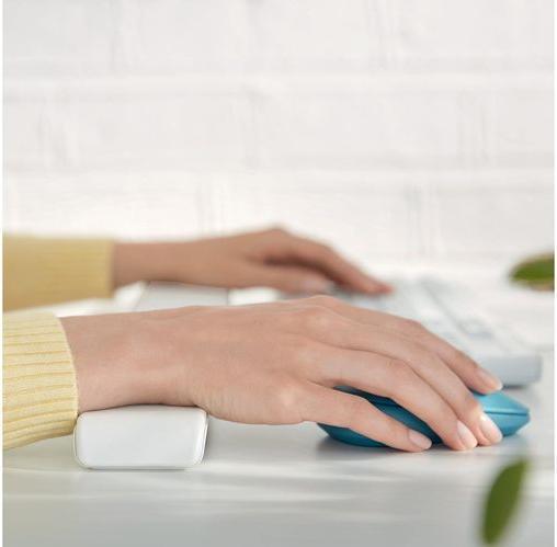 Actual product image Leitz Wrist rest in gray