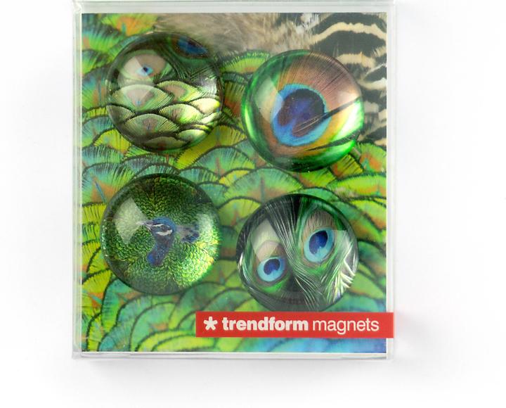 Produktbild Trendform Eye (4x)