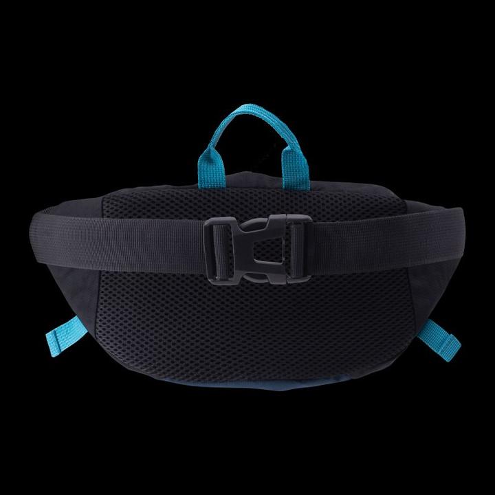 Immagine prodotto Iguana Gomeis' Niere