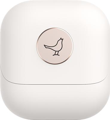 Actual product image Libratone Air+ (2nd Gen) (ANC, 6 h, Wireless)