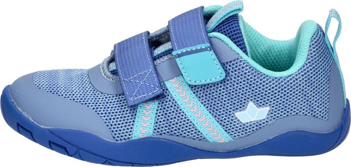 Image du produit Lico Aride V (25)