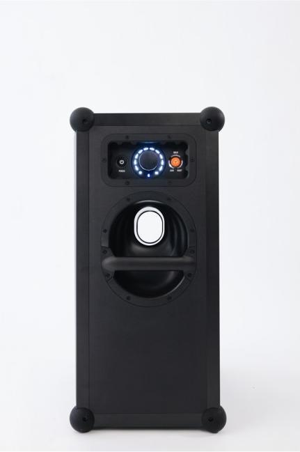 Actual product image Soundboks 4 (40 h)