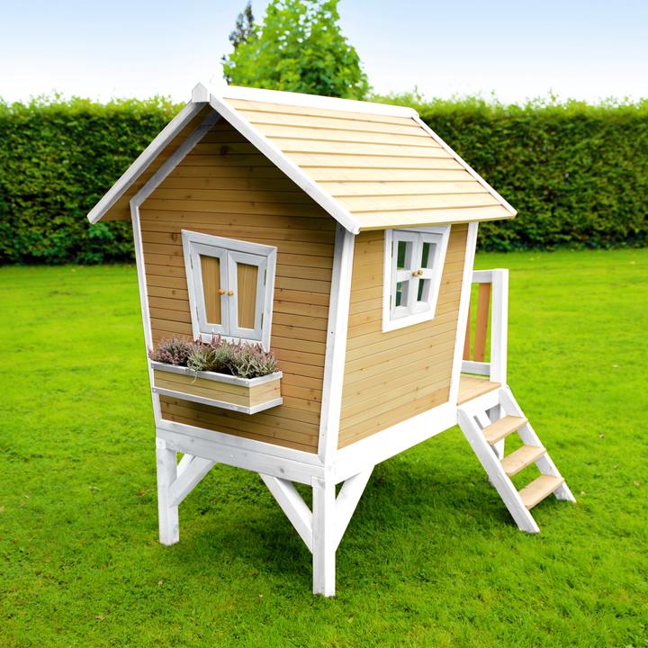 Image du produit Axi Robin