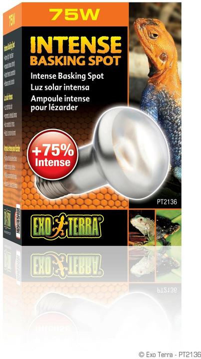 Image du produit Exo Terra Sun Glo Heat Spot Lamp TB 75W (UVA)