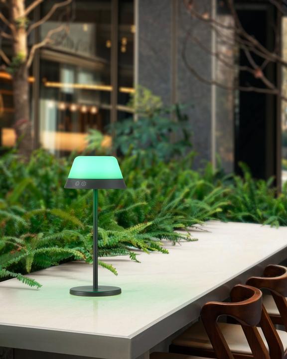 Immagine prodotto EGLO Luci Lampada da tavolo ricaricabile MEGGIANO 1.5W, 32 cm, grigio, dimmerabile (170 lm)