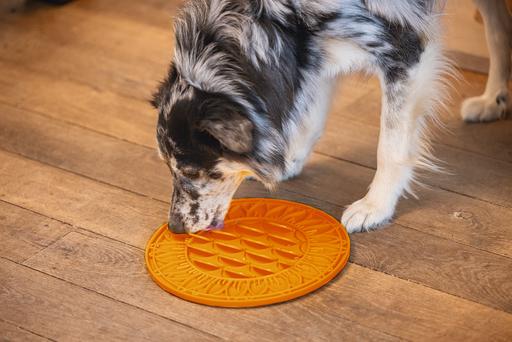 Image du produit Beeztees Tapis à lécher Tournesol