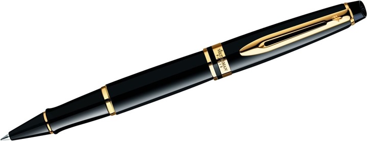 Actual product image Waterman Expert (Gold, Black, 1 x)