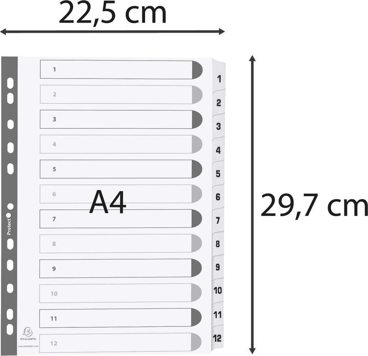 Immagine prodotto Exacompta Registro