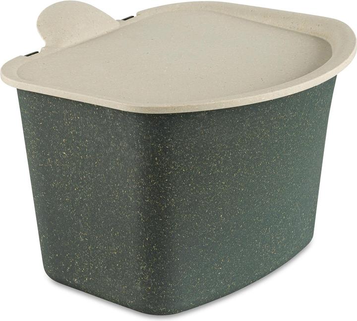 Gris foncé