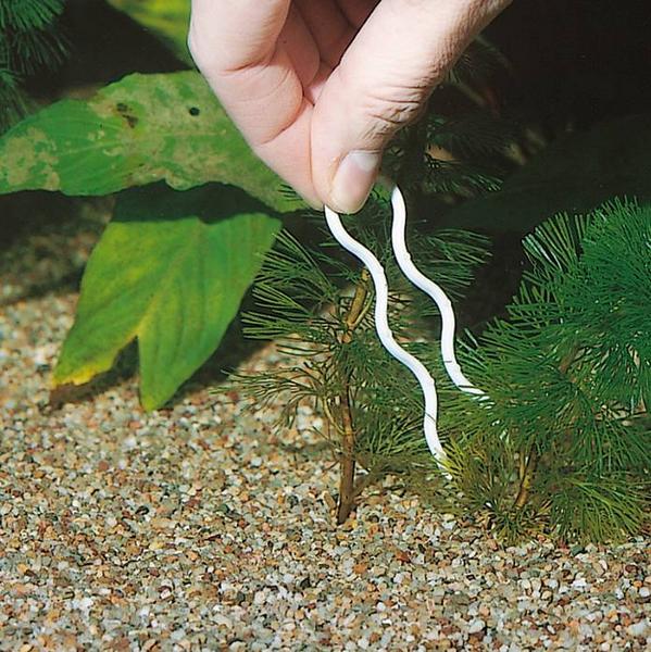 Produktbild JBL Aquaristik und Terraristik Plantis, 12 Stk. Pflanzennadeln