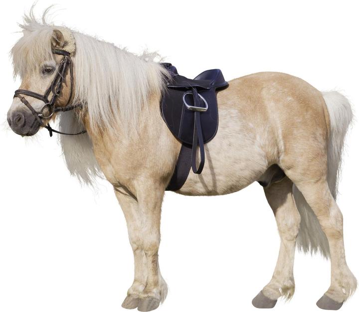 Produktbild Kerbl Sattelset Economy Pony schwarz