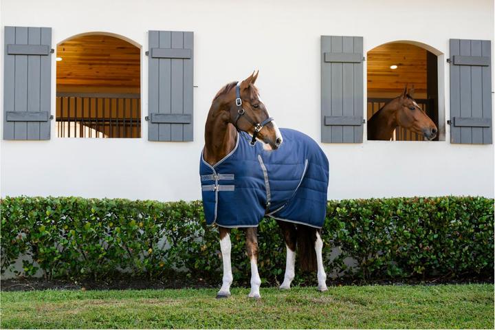 Produktbild Horseware Stalldecke Rambo 100g (165 cm)