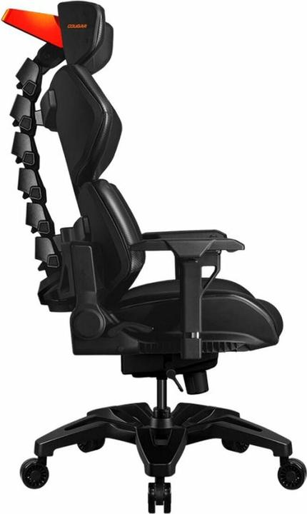 Actual product image Cougar Terminator