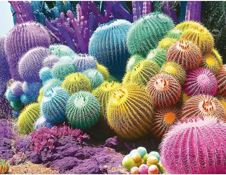 Immagine prodotto Nathan Puzzle 2000 pieces Cactus Rainbow (2000 pezzi)