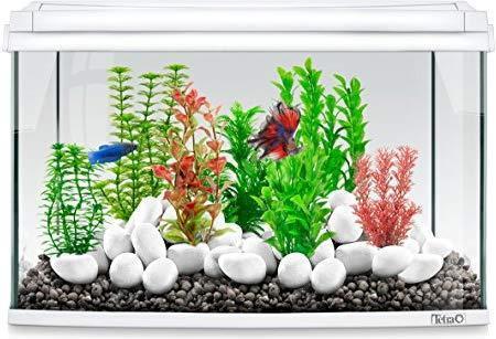 Produktbild Tetramin DecoArt Plant L Green Cabomba (Dekoration, Pflanzen)