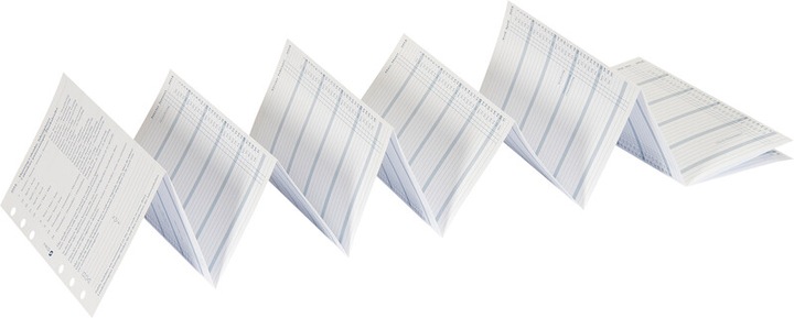 Succes ricambi Standard agenda annuale gennaio-dicembre (9,5 x 17 cm, Tedesco, Inglese, Italiano, Francese)