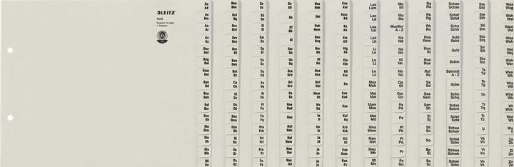 Produktbild Leitz Register Papier grau