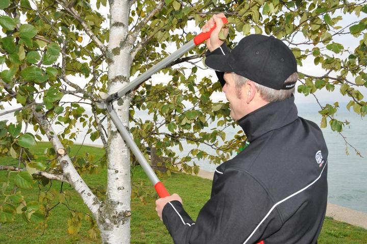 Actual product image Felco Two-hand pruning shears 230