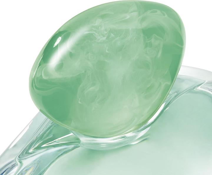 Image du produit Giorgio Armani Acqua di Gìoia (Eau de parfum, 100 ml)