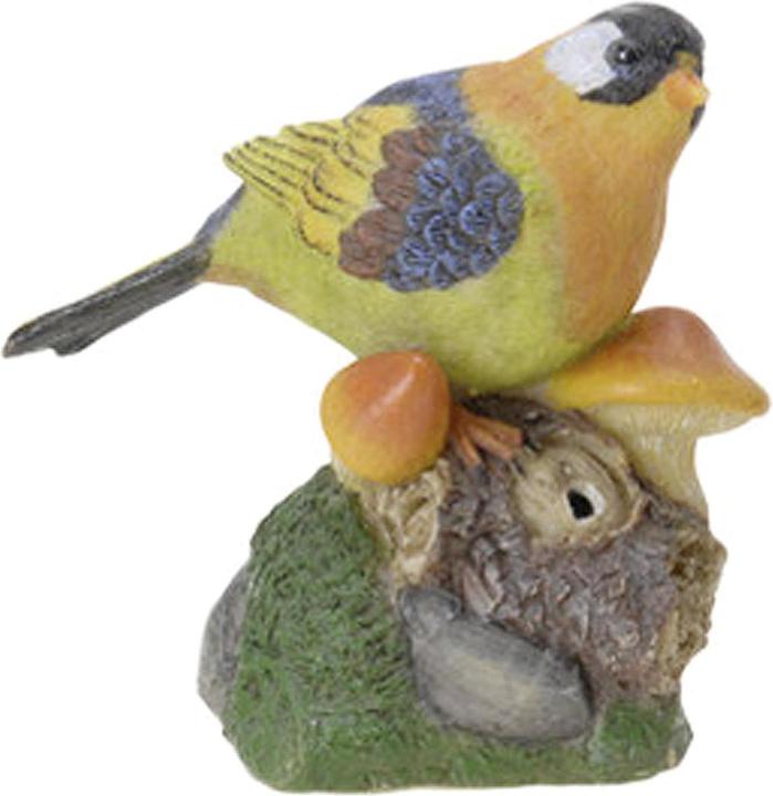 Image du produit Oiseau