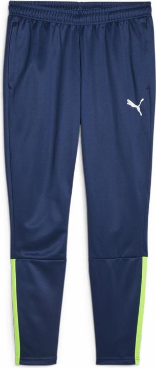 Actual product image Puma TeamLIGA training pants men (XL)