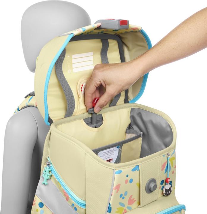 Actual product image Step by Step Cat Lilly (20 l)