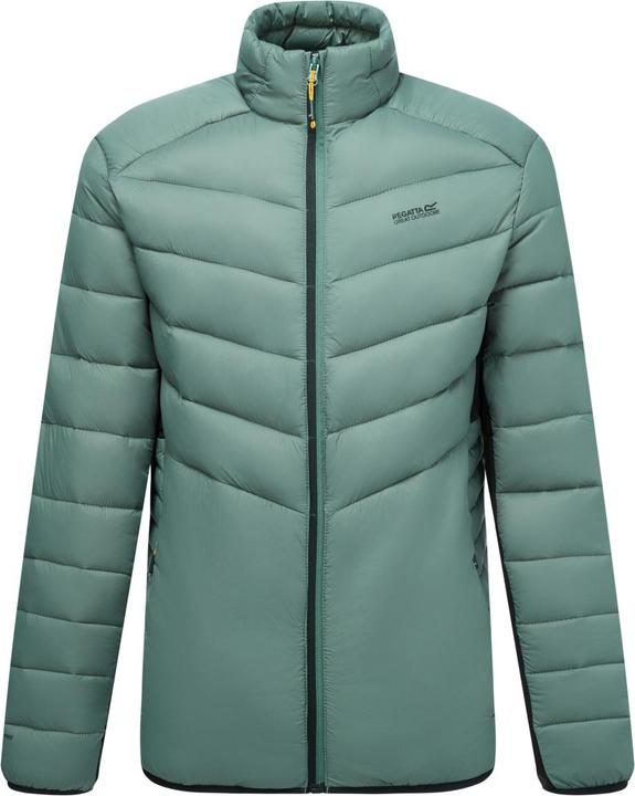 Black, Dark Forest Green