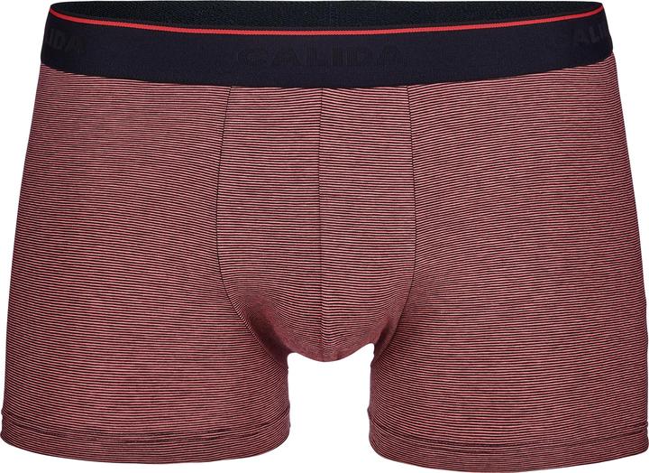 Actual product image Calida Cotton Stretch BoxerBrief (S)