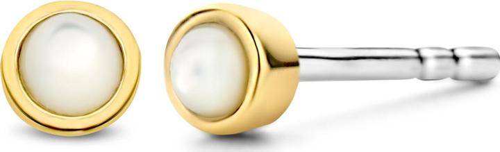 Produktbild Ti Sento Milano Ohrstecker (925er Silber)