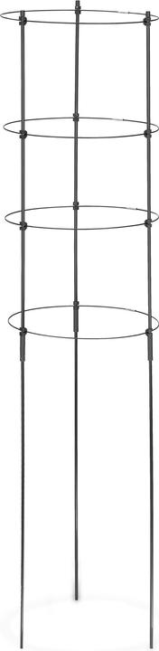 Image du produit Relaxdays 2x support pour plantes grimpantes (30 cm, 30 cm)