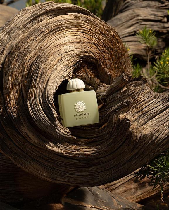 Actual product image Amouage Odyssey Existence Eau de Parfum (Eau de parfum, 100 ml)