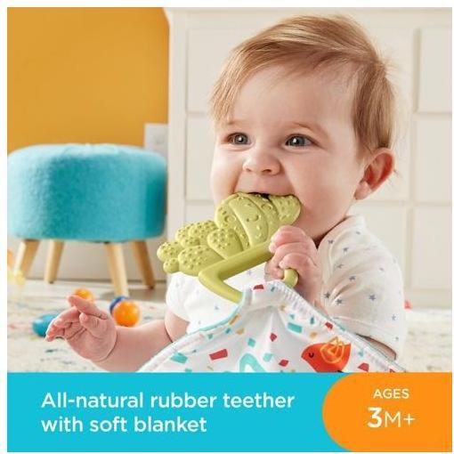 Fisher-Price Kaktus Beissring & Kuscheltuch - kaufen bei Galaxus - Galaxus
