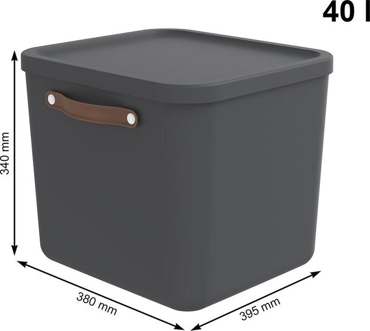 Produktbild Rotho Maloja (39.5 x 38 x 34 cm, 40 l, 1x)