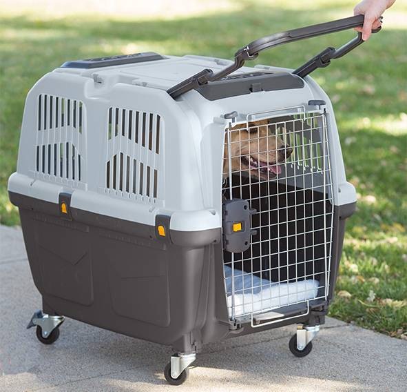 Image du produit Skudo 7 Iata (Chien, Fermeture de sécurité)