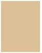 Actual product image MAC Cosmetics Pro Longwear Concealer (NC30)
