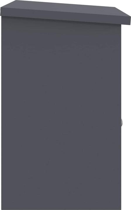 Image du produit vidaXL Paketbox