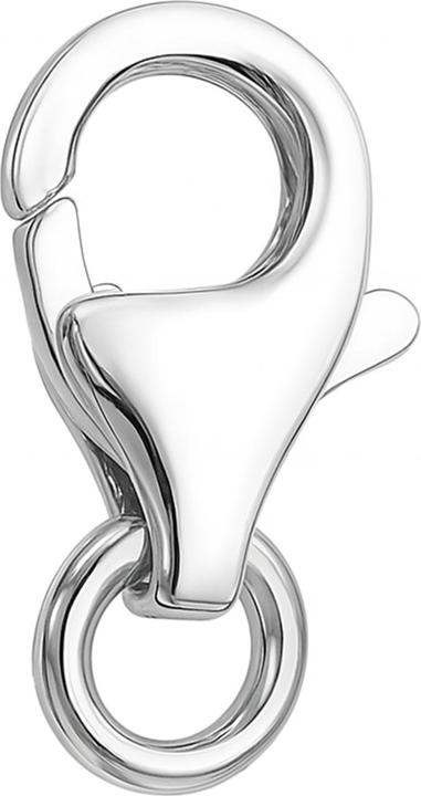 Actual product image Leyda Verschluss Karabiner