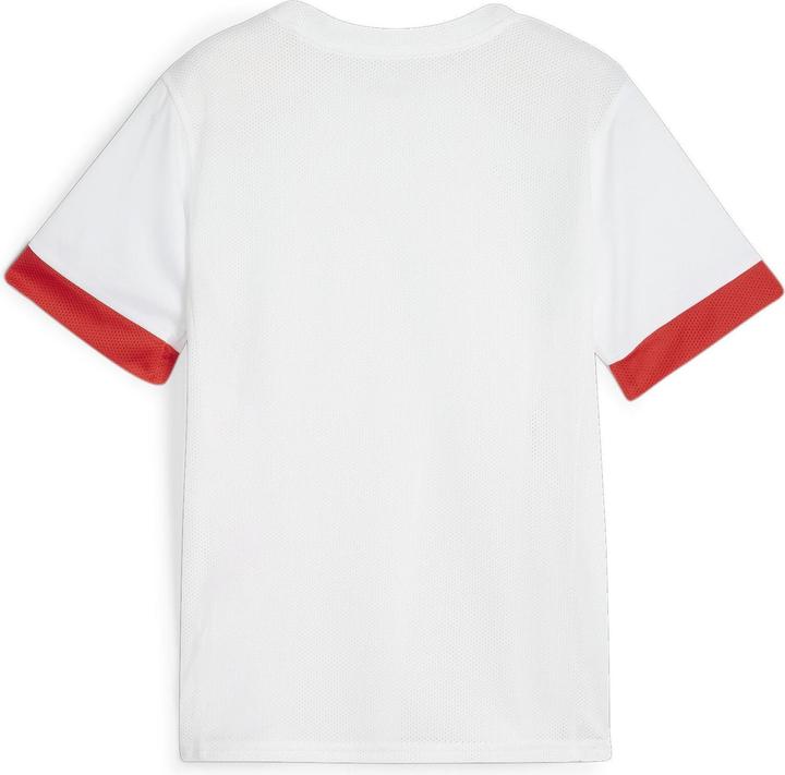 Image du produit Puma teamGOAL Matchday Jersey jr (164)