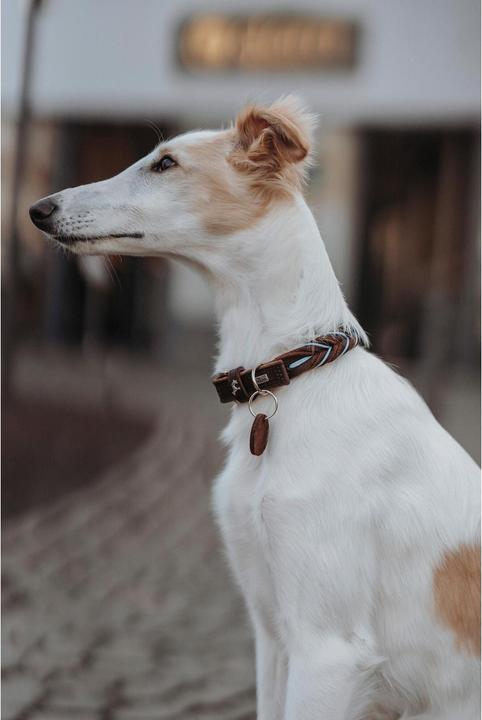 Produktbild Hunter Halsband Solid Education Cord (S, Hund, Allgemein)