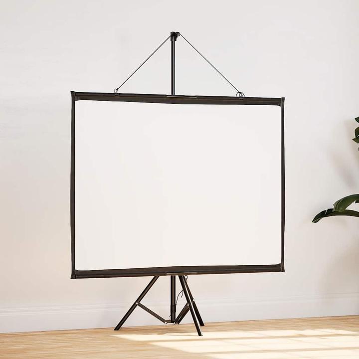Actual product image vidaXL Projektionsleinwand (60", 16:9)