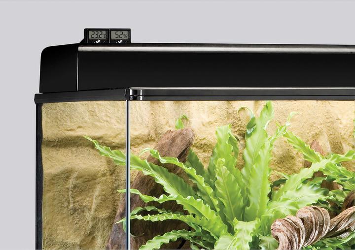 Image du produit Exo Terra Hygromètre numérique avec capteur