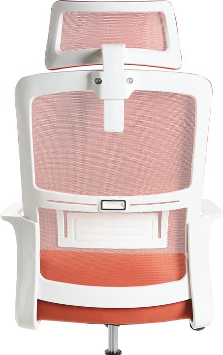 Immagine prodotto Beliani Monarch (35 - 45 cm)