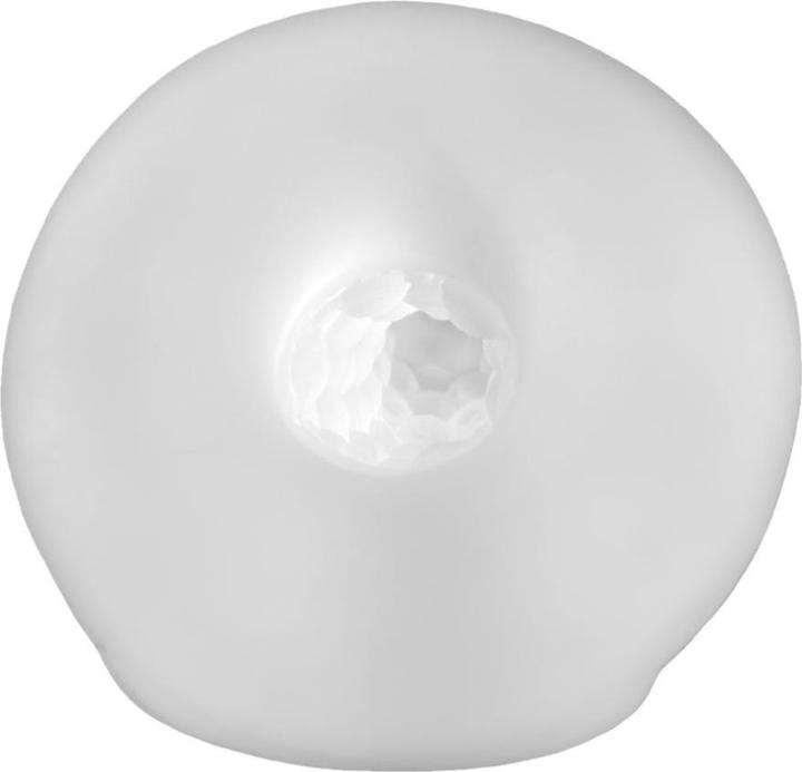 Productafbeelding PerfectFitBrand Fat Boy Checker Box Schede